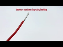 Che cavo elettrico di Sqmm del diametro state cercando? | Serie dell'UL del teflon di vista in Dingzun | UL3133