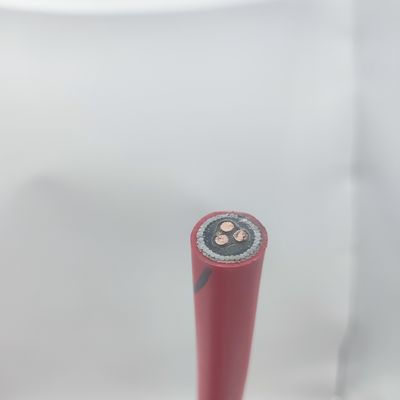 Buon prezzo Cable di strumentazione 300/500V 1T2.5 CU/MGT/XLPE/OS/FR/LSZH/GSWA/LSZH 1x3x2.5 Online