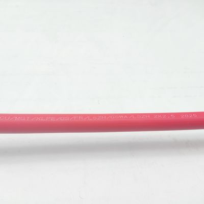 Buon prezzo Cable di strumentazione 300/500V 2C2.5 CU/MGT/XLPE/OS/FR/LSZH/GSWA/LSZH 2x2.5 Online