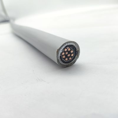 Buon prezzo Cable di strumentazione 300/500V CU/MGT/XLPE/OS/FR/LSZH/GSWA/LSZH 10х1 Online